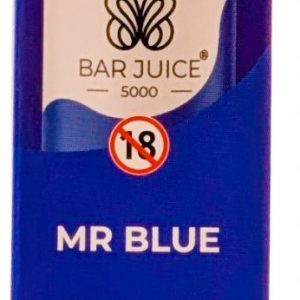 MR BLUE- blueberry raspberry menthol 10mg