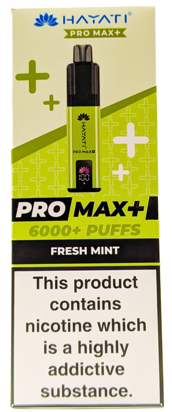FRESH MINT