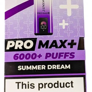 SUMMER DREAM