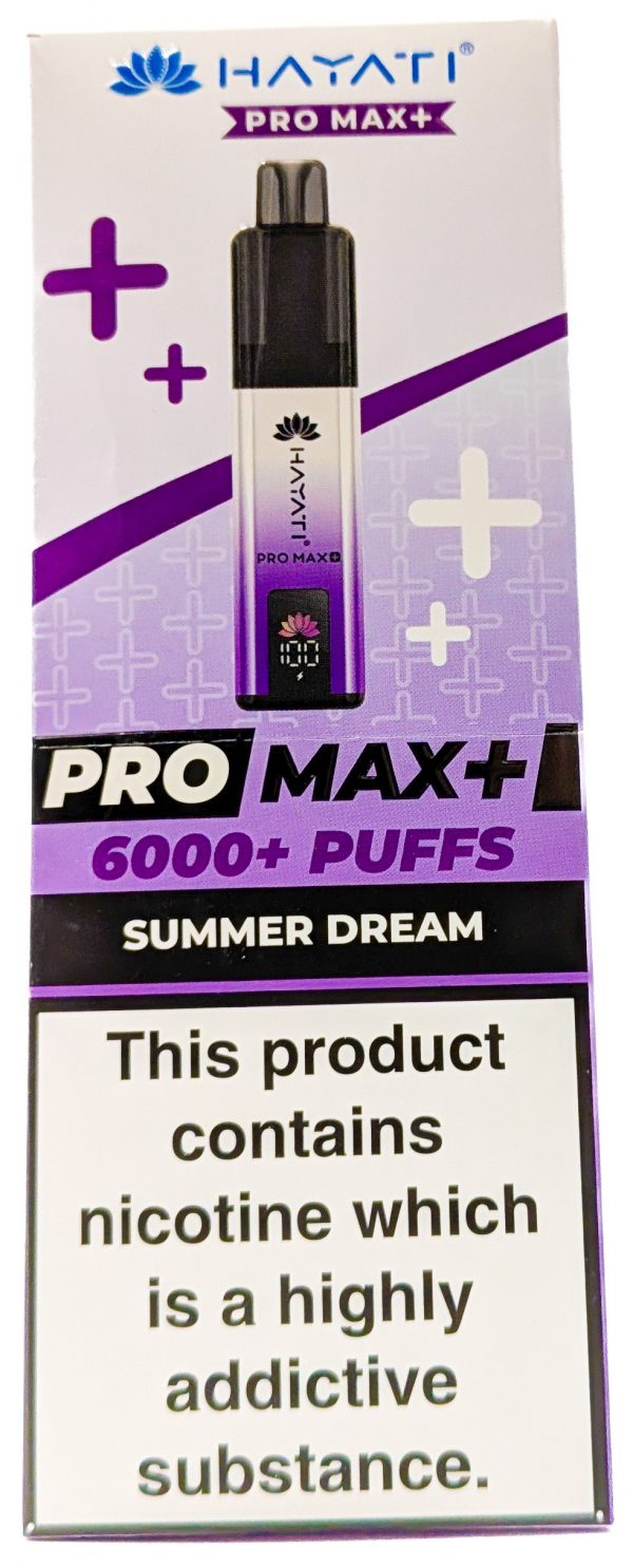 SUMMER DREAM
