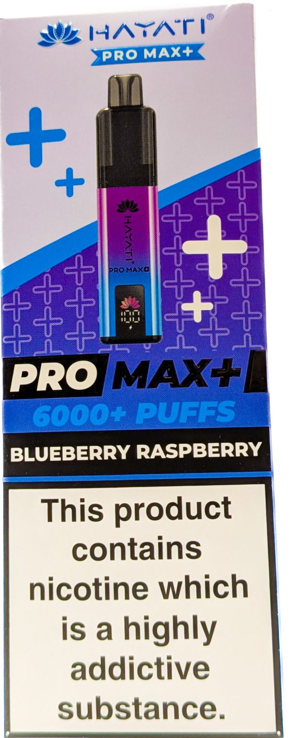 BLUEBERRY RASPBERRY