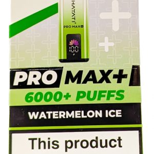 WATERMELON ICE