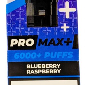 BLUEBERRY RASPBERRY