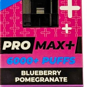 BLUEBERRY POMEGRANATE